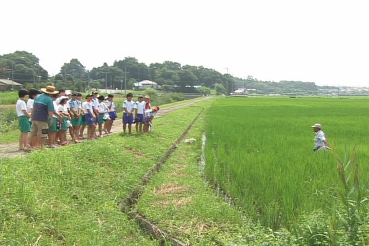 ���������R����