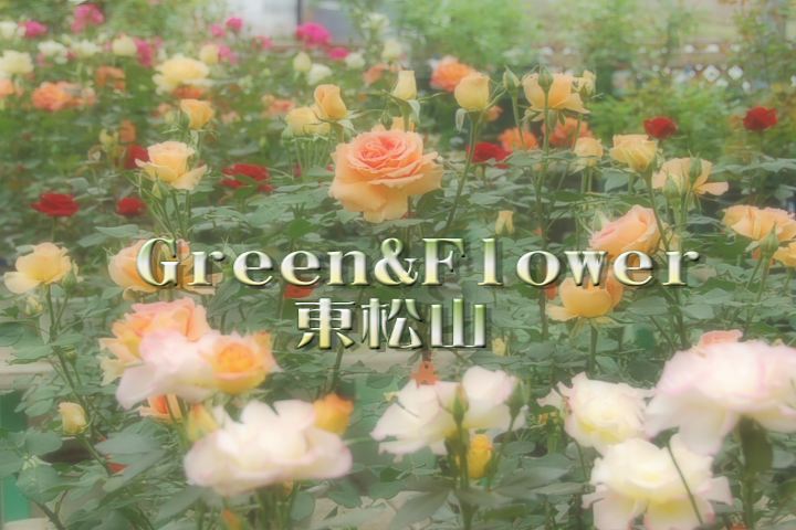 ���������R����