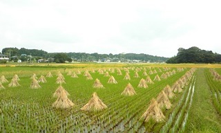 ���������R����