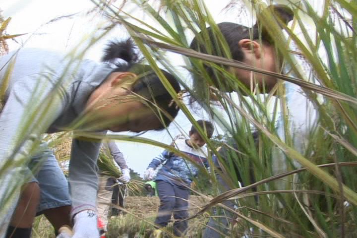 ���������R����