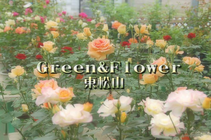 ���������R����