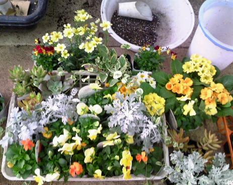 ���������R����