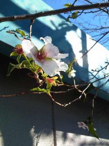 ���������R����