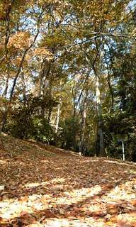 ���������R����