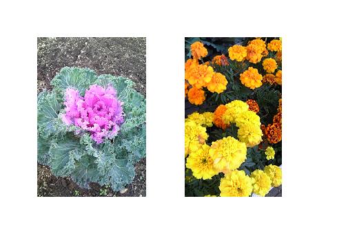 ���������R����