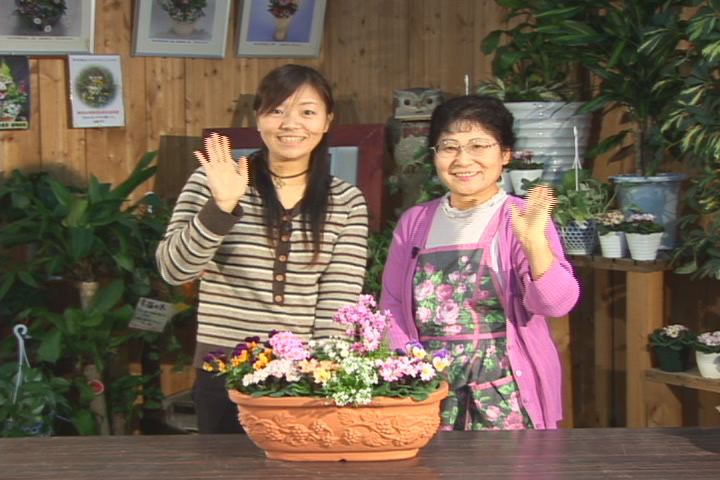 ���������R����