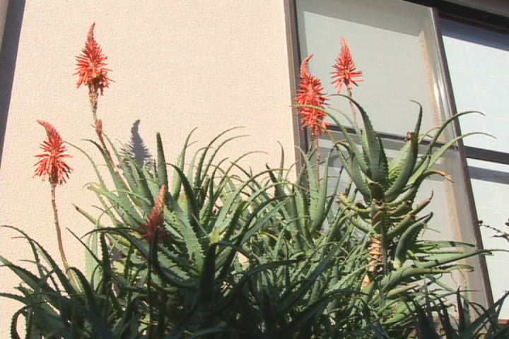 ���������R����