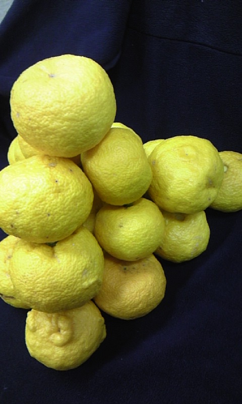 ���������R����