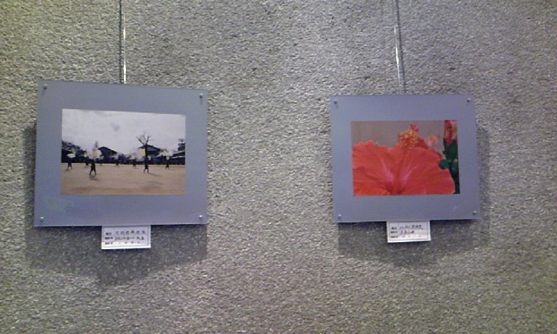 ���������R����