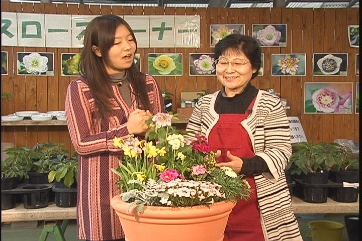 ���������R����