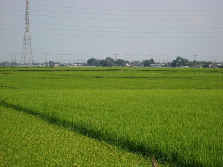 ���������R����