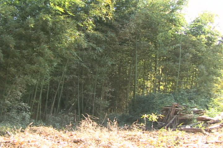 ���������R����