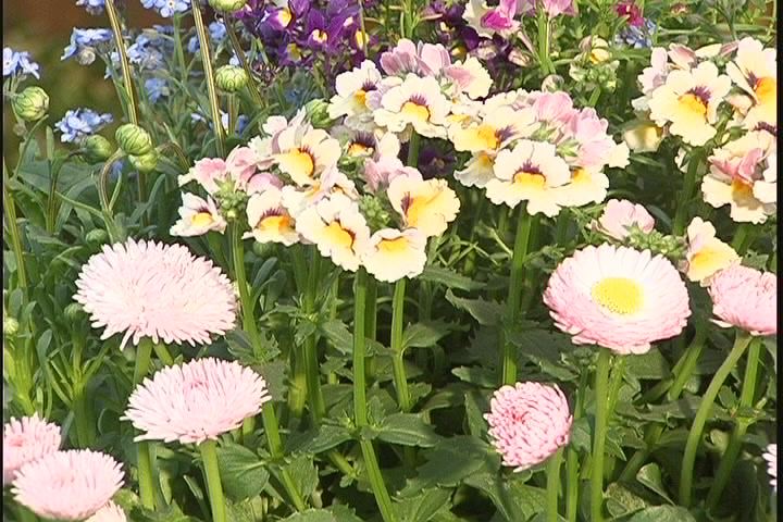 ���������R����