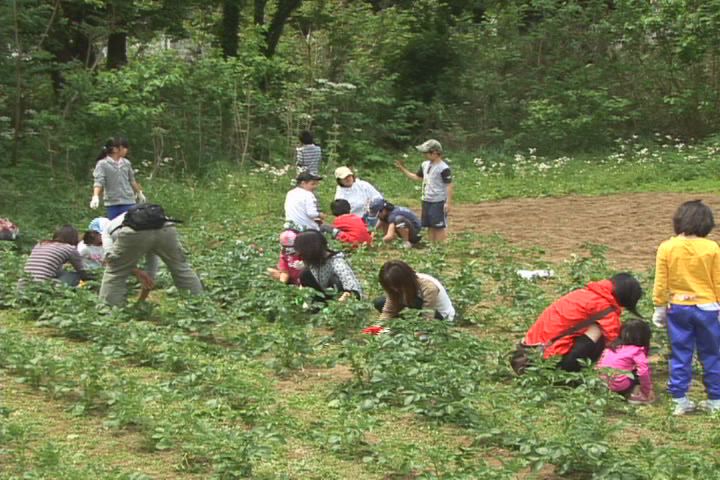 ���������R����