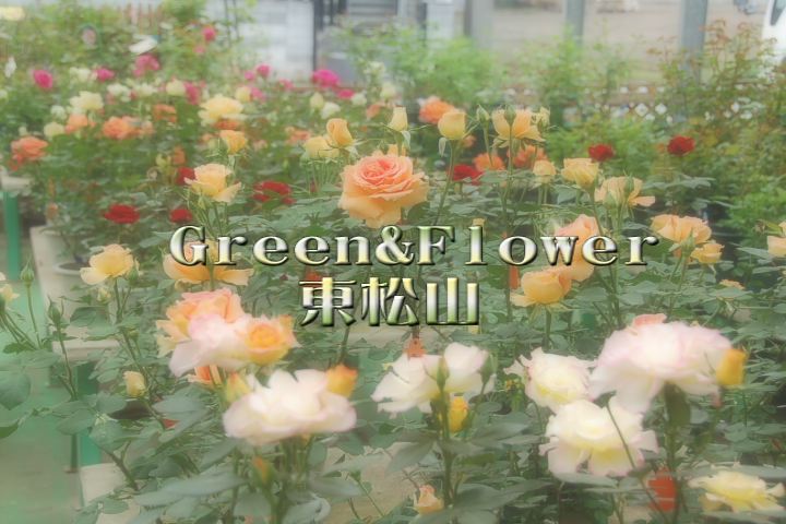 ���������R����