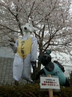 ���������R����