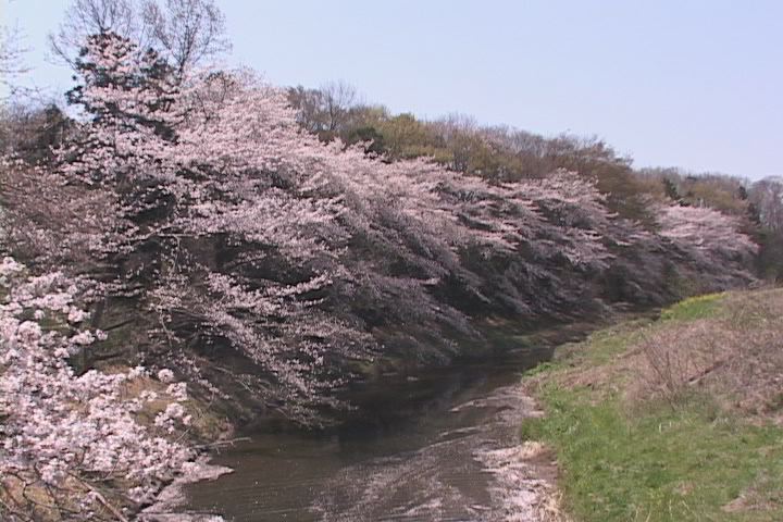 ���������R����