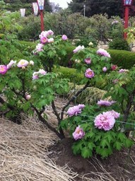 ���������R����