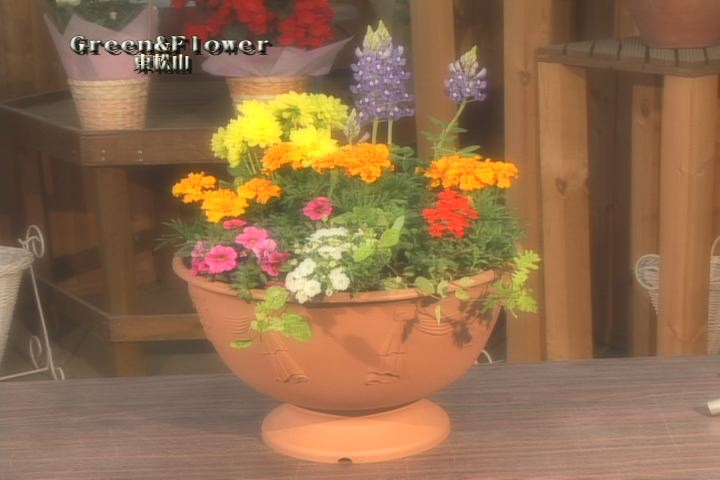 ���������R����