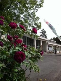 ���������R����