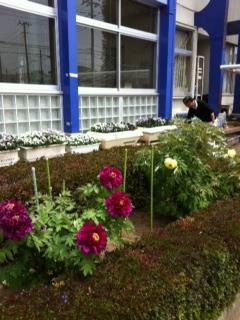 ���������R����