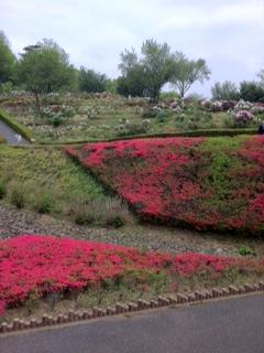 ���������R����