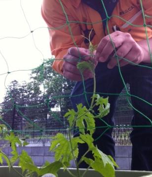 ���������R����