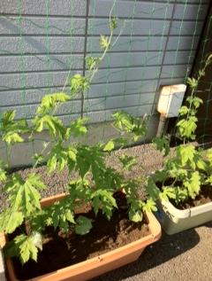 ���������R����