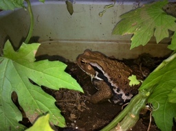 ���������R����