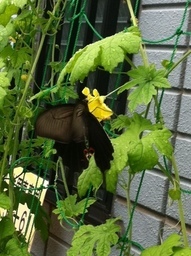 ���������R����