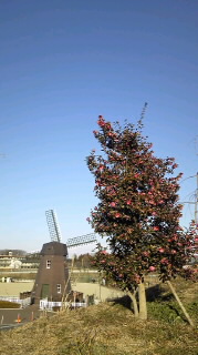 ���������R����