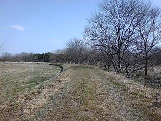 ���������R����