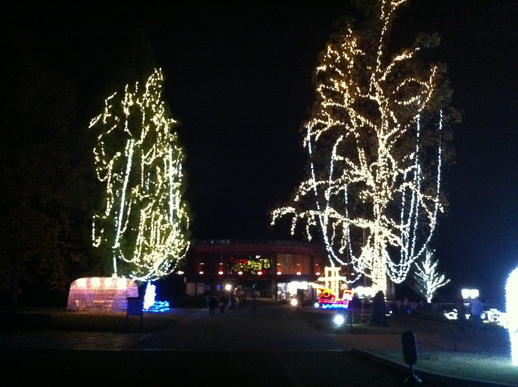 ���������R����