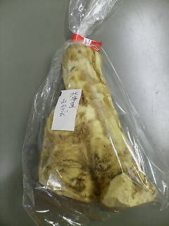 ���������R����