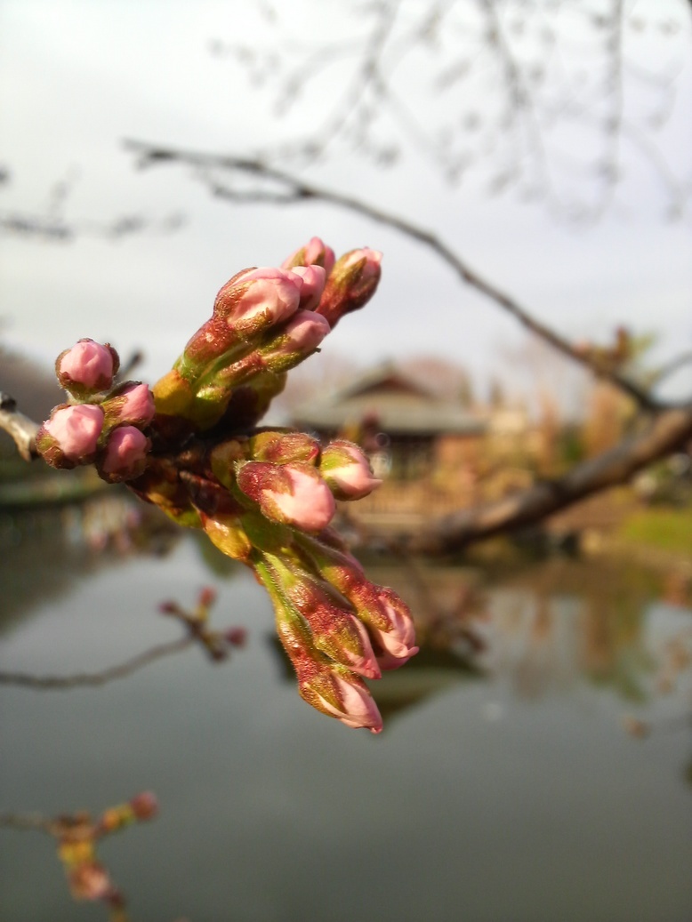 ���������R����