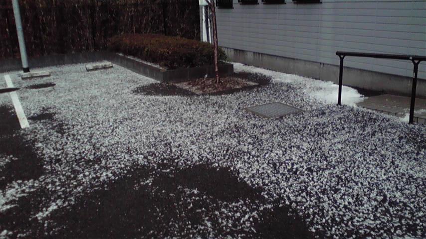 ���������R����