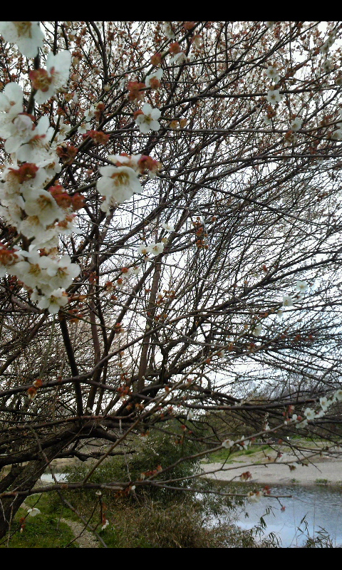 ���������R����