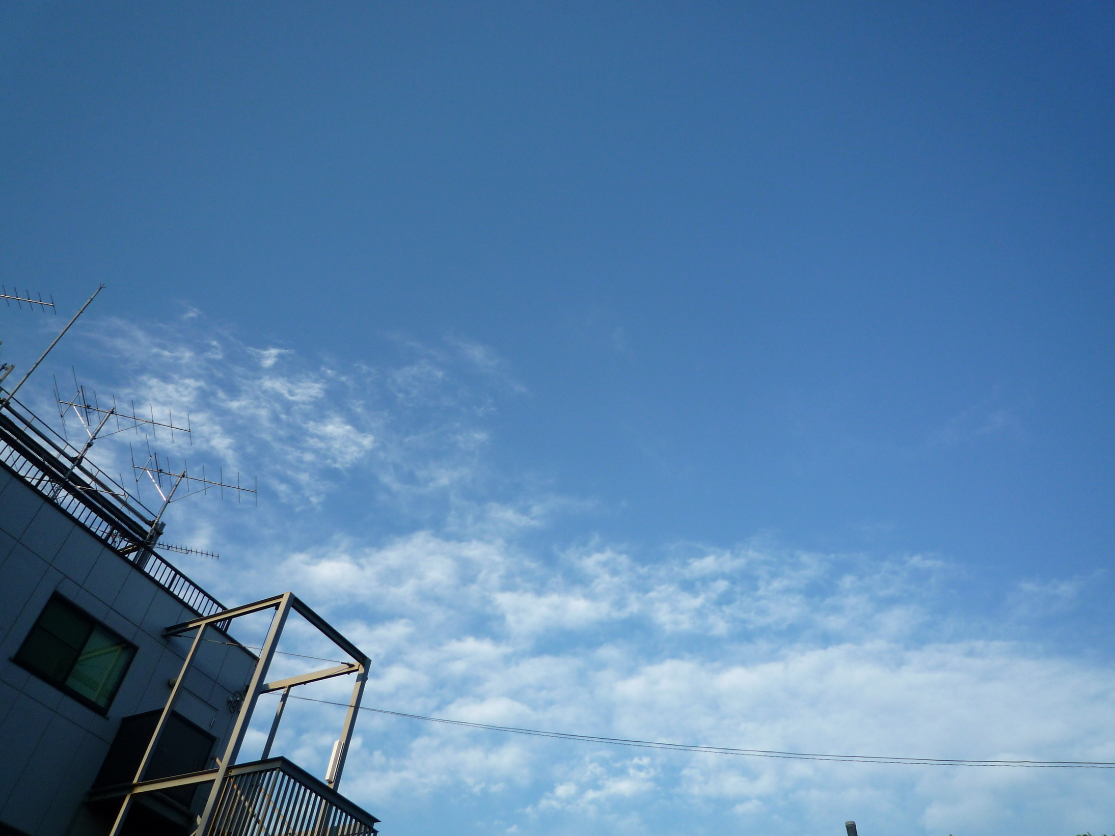 ���������R����