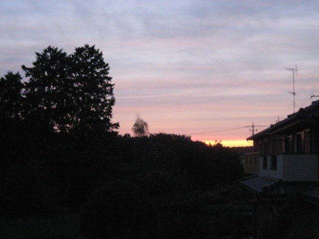 ���������R����