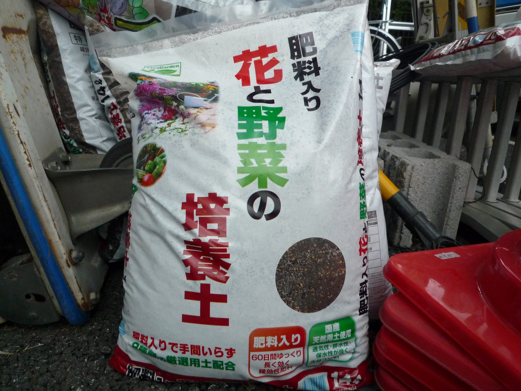 ���������R����