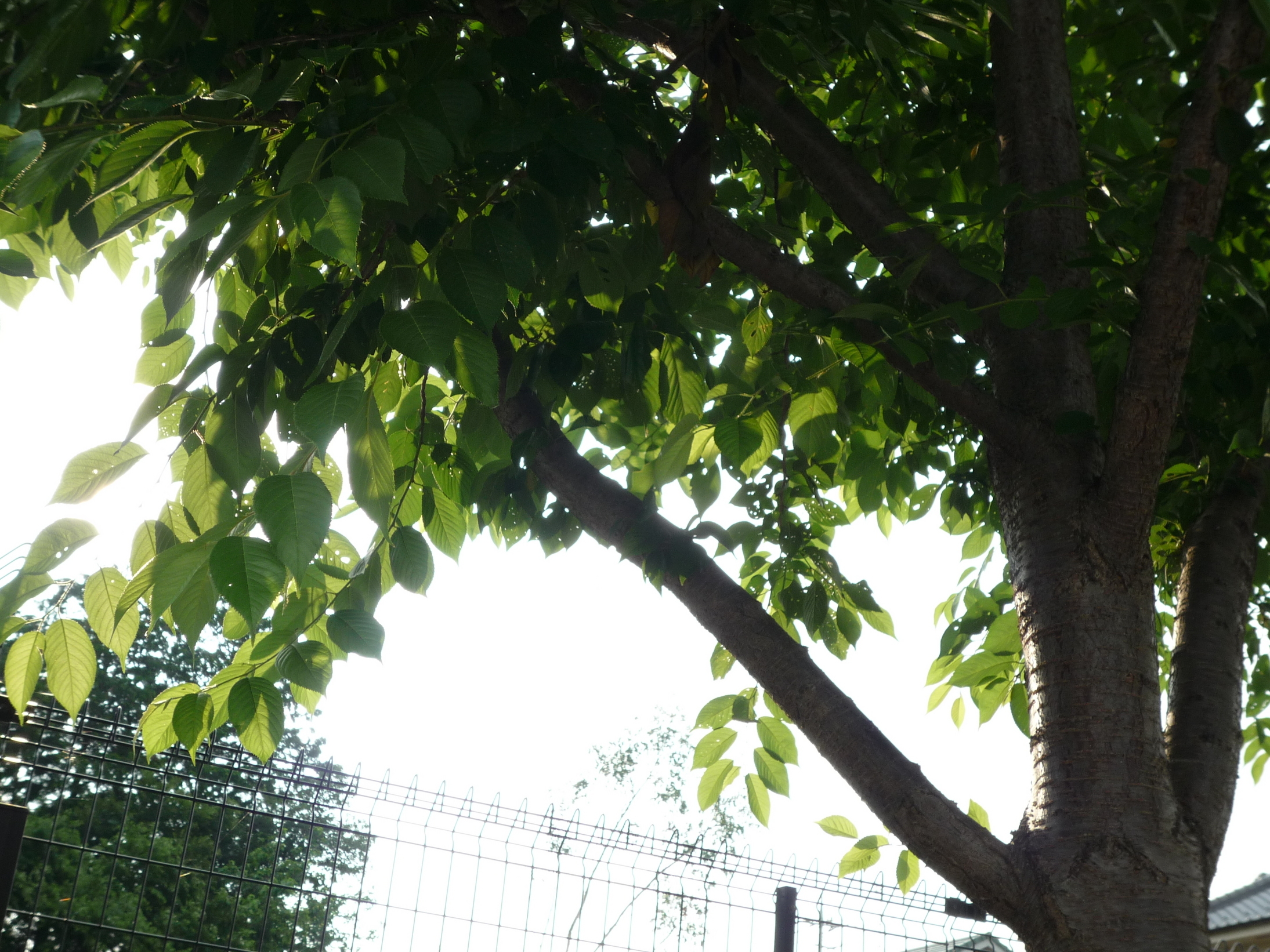 ���������R����