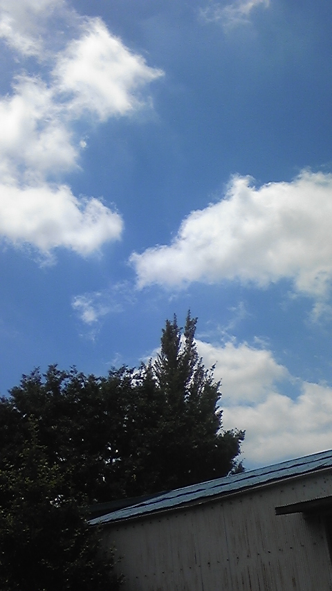 ���������R����