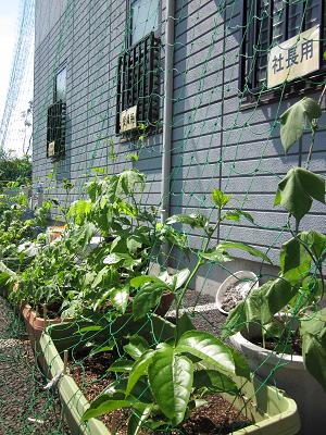 ���������R����