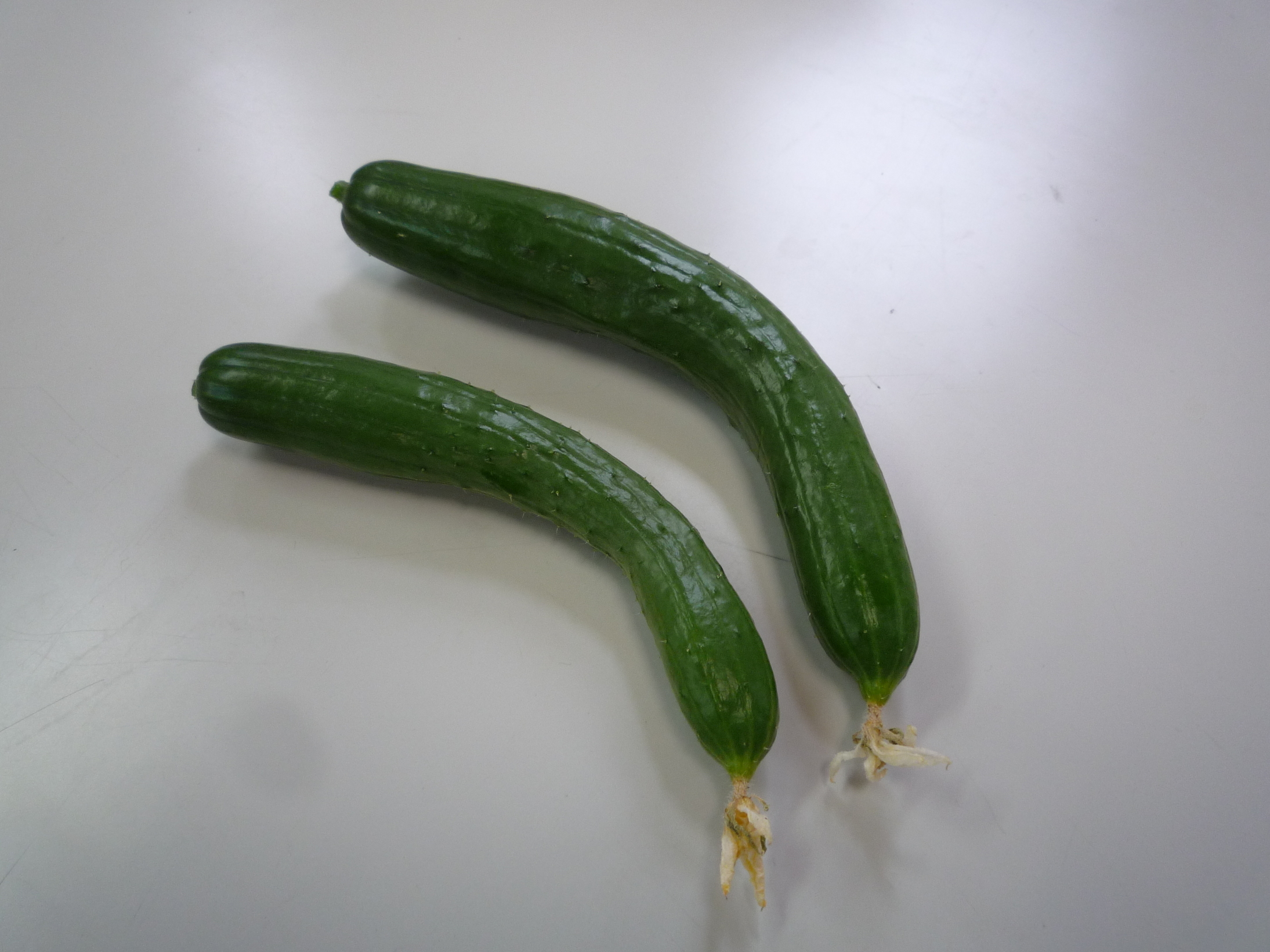 ���������R����