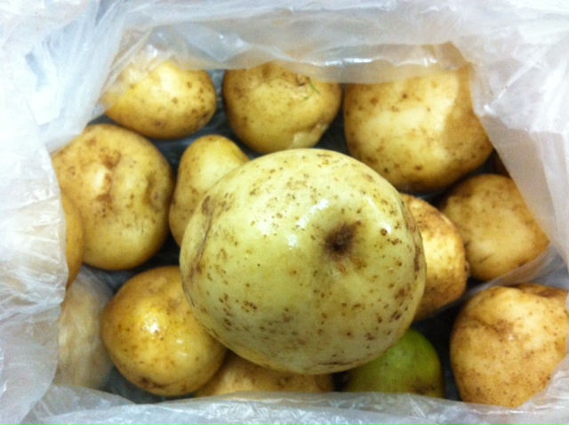 ���������R����