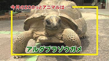 ���������R����