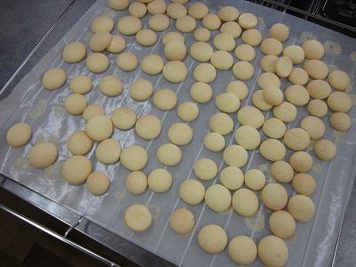 ���������R����