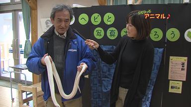 ���������R����