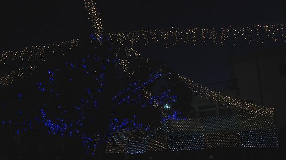 ���������R����