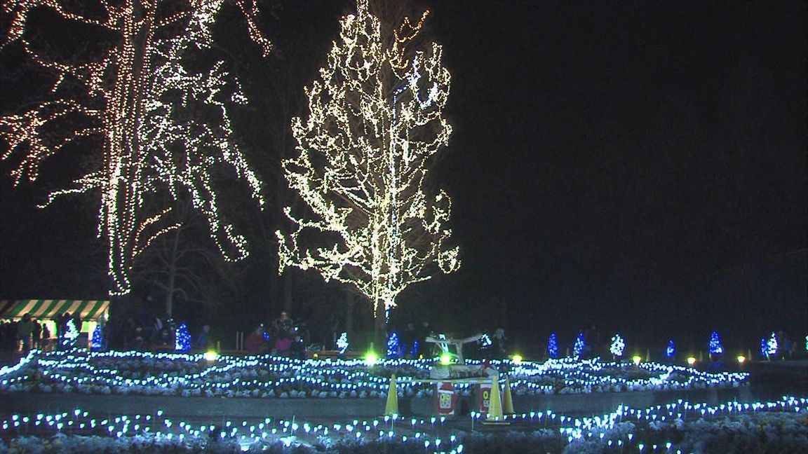 ���������R����